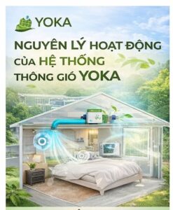 Nguyen Li Lam Viec Yoka