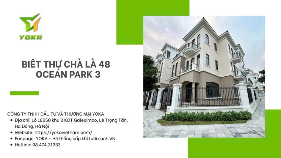 Yoka Cong Trinh